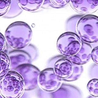 L'Oréal Paris Revitalift Acqua Micellare Rimpolpante Struccante