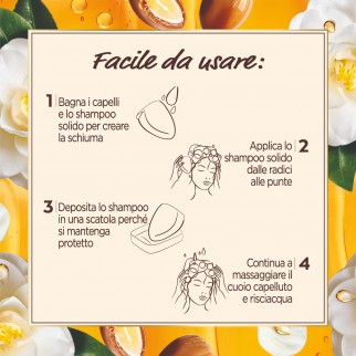 Garnier Ultra Dolce Shampoo Solido Argan e Camelia - Saponetta da 60g