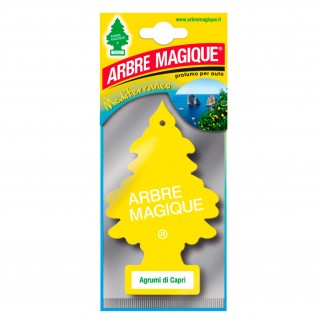 Arbre Magique Mediterraneo Profumatore Solido per Auto Fragranza