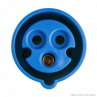 Ecova Adattatore Industriale 1 Spina Italiana 2P+T 16A e 1 Presa CEE